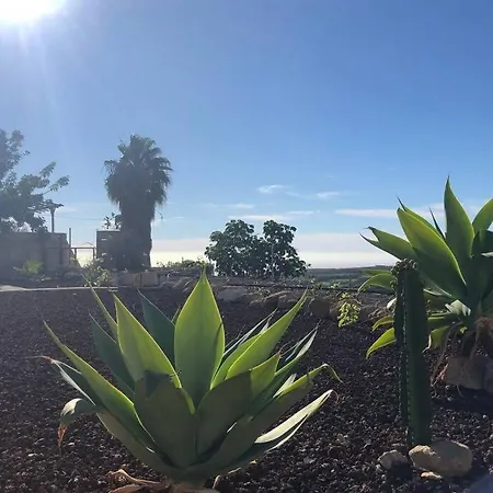 Minicasa 1 En Con Fibra Optica