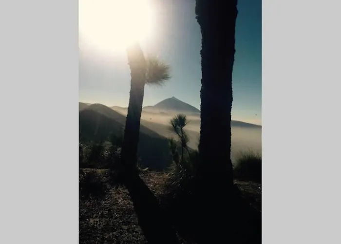 Lejlighed Minicasa 1 En Con Fibra Optica *