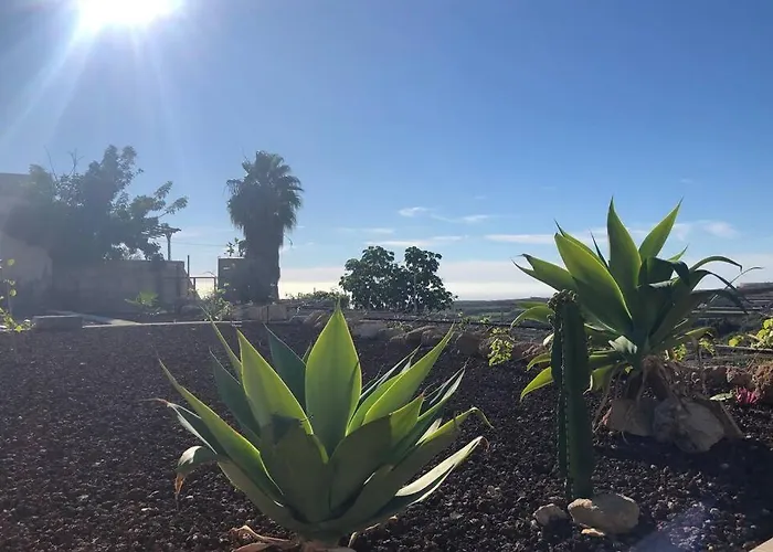 Minicasa 1 En Con Fibra Optica